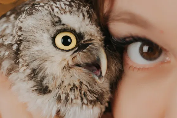 Kasyno Lucky Tiger Wsparcie